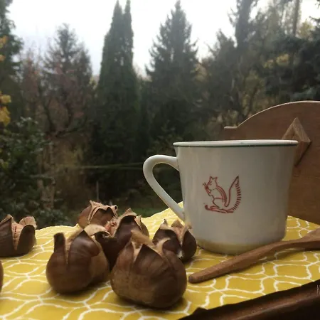 Mad Squirrel - Kerge Mokus Prázdninový dům Nagymaros