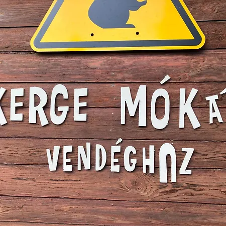 Mad Squirrel - Kerge Mokus * Nagymaros